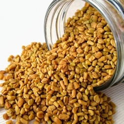 تخم شنبلیله 100 گرمی