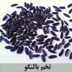 بالنگو بسته 100 گرمی