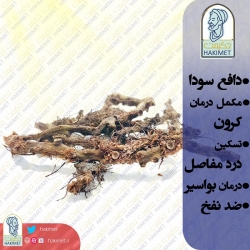 بسفایج بسته 100 گرمی