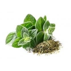 برگ پونه خشک 100 گرمی