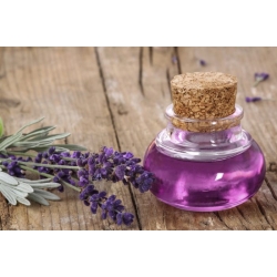 اسطوخدوس هندی بسته 50 گرمی
