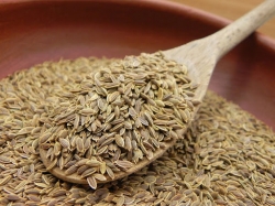 تخم شوید 100 گرمی
