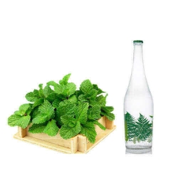 عرق نعنا یک لیتری