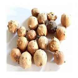 مازو 200 گرمی
