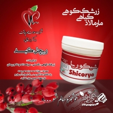 ریچل شیکوریا (کبد) پیوژنی