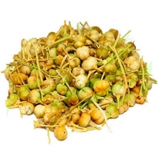اسپند با پوست 200 گرمی