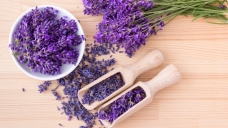 اسطوخودوس فرانسوی 100 گرمی