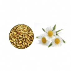 گل بابونه شیرازی بسته 50 گرمی